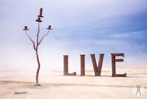Image of installation at Burning Man, the word LIVE