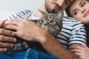 cat at home with a couple to show a cat friendly home