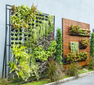 Beautiful vertical garden in city around office building to show around the world garden ideas for Santa Barbara